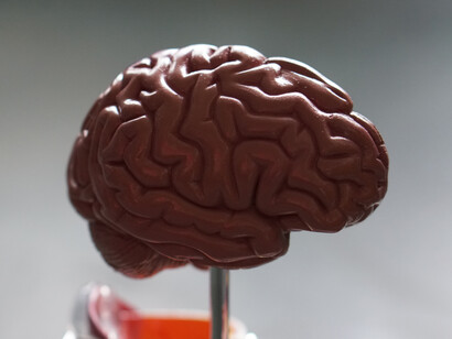 I dati neurali forniscono inoltre informazioni sullo stato di salute delle persone