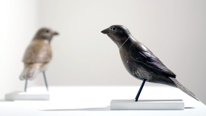 Myfanwy MacLeod. Courtesy of Contemporary Art Gallery