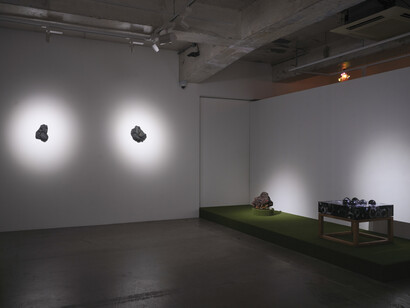 Trevor Yeung, Swallowing rumination, gracefully, exhibition view. Courtesy of Blindspot Gallery