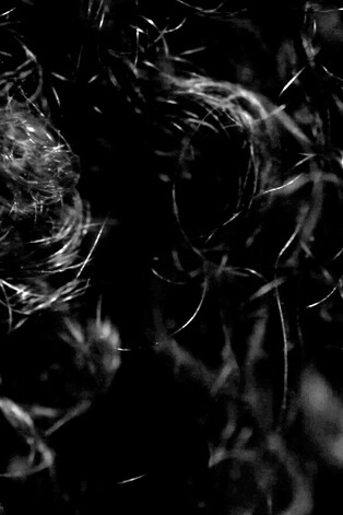 The Last Place They Thought Of. Courtesy of ICA Philadelphia