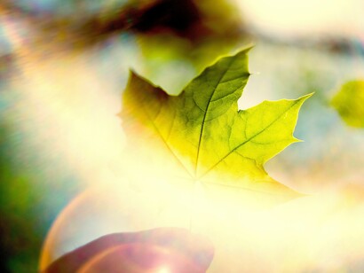 Evitar a catástrofe ambiental