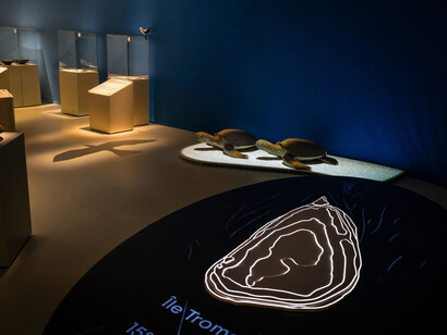 L’île de sable, vue de l’exposition. Avec l'aimable autorisation du Laténium