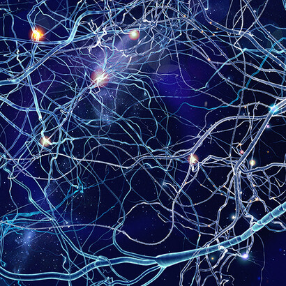 The distinction between inner and outer experience is illusory