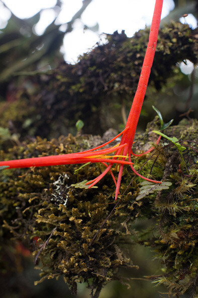 Wolfgang Tillmans. Courtesy of Carré d’Art