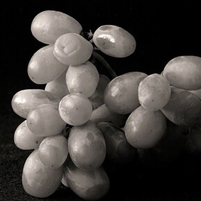 Betsy Crowell. Courtesy of John Davis Gallery