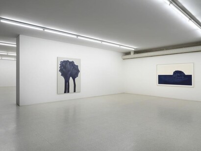 Luisa Rabbia. Courtesy of Collezione Maramotti