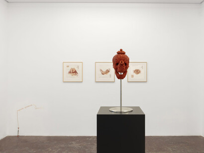 Jan Fabre, La materialización del amor, vista de exhibición. Cortesía de la Galería NF/Nieves Fernández