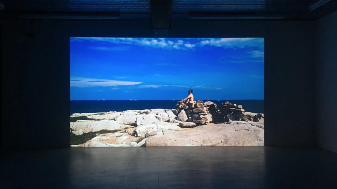 Marcus Coates. Courtesy of Workplace Gallery