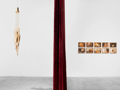 Various artists, Fascination and affection, exhibition view. Courtesy of Nara Roesler Gallery