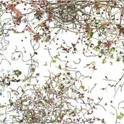 Jennifer Steinkamp, Diaspore 1, 2014 video installation dimensions variable Edition of 3 Courtesy the artist and Lehmann Maupin, New York and Hong Kong