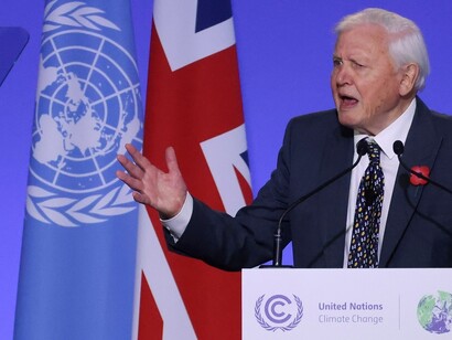 David Attenborough at COP26