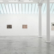 Tran Luong, When sky merges with Earth, exhibition view. Courtesy of Bortolami