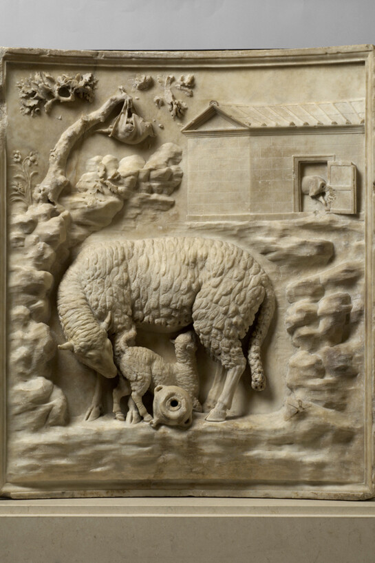 Rilievo Grimani: pecora che allatta i suoi cuccioli,
Marmo, tarda età augustea, prima metà I a.C.,
Vienna, Kunsthistorisches Museum
