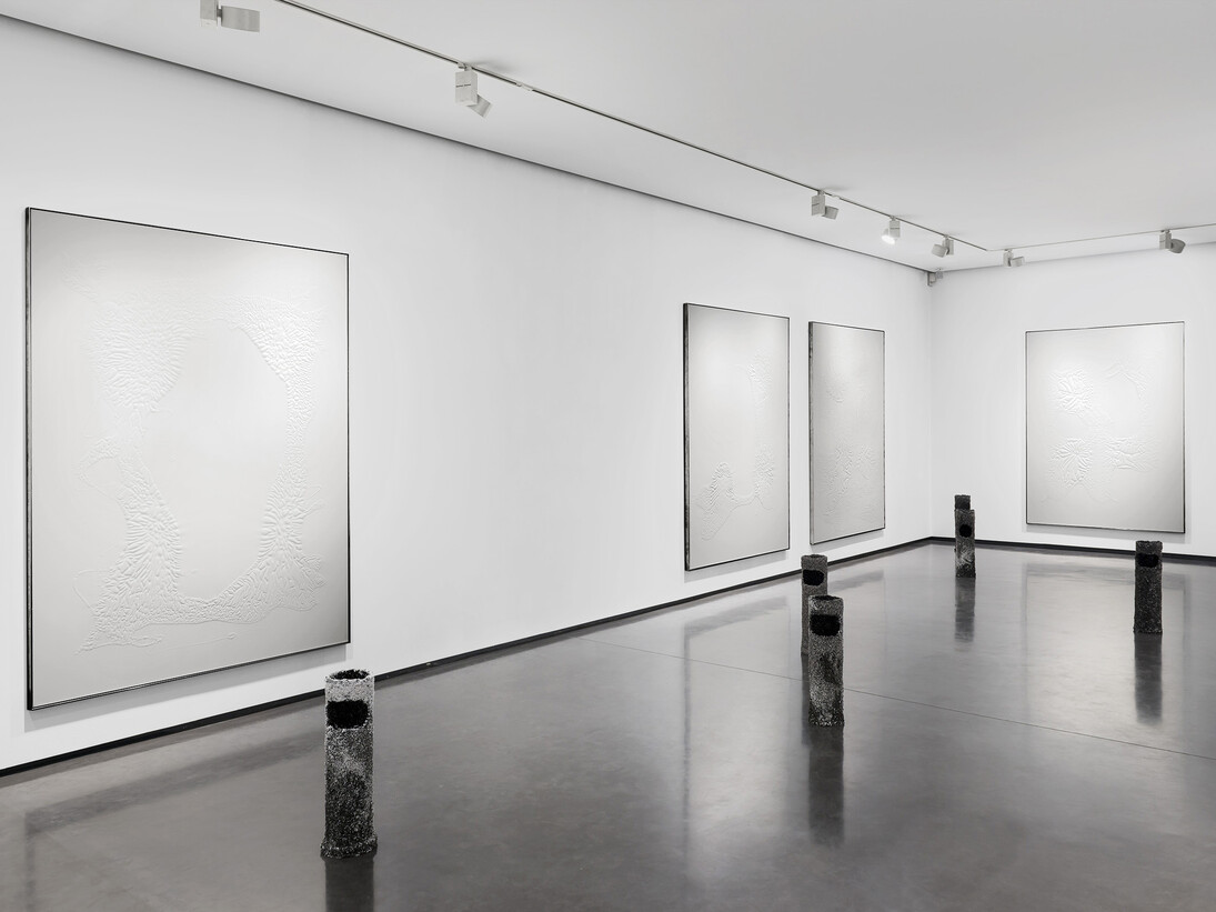 Santiago Taccetti, ISO 9001, installation view