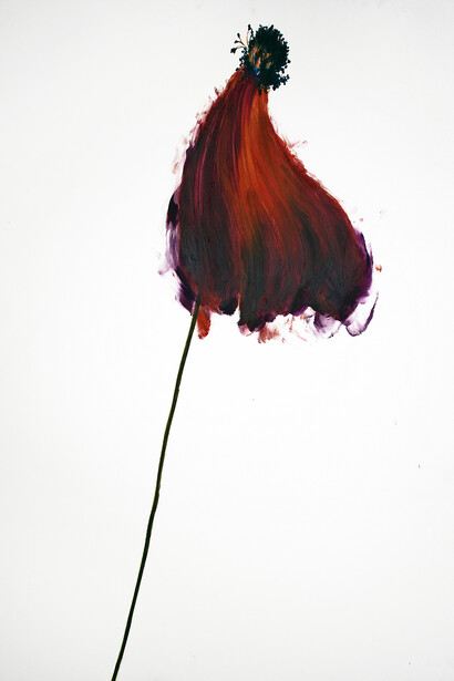 Gaël Davrinche, Memento Mori, 2015 © the artist, courtesy Magda Danysz gallery