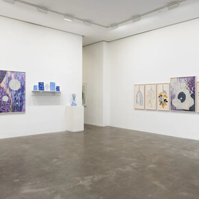 Saya Woolfalk, The woods woman method, exhibition view. Courtesy of Susan Inglett Gallery
