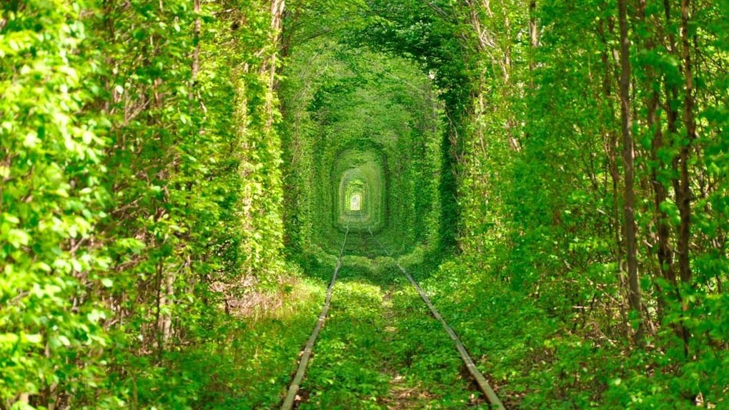 Espaço cercado na natureza