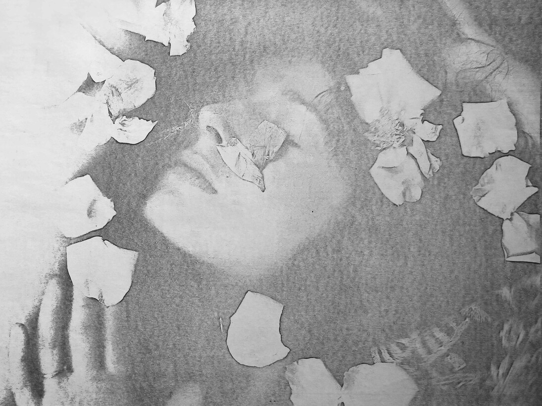 Penelope Slinger, Bed of Roses, 1974