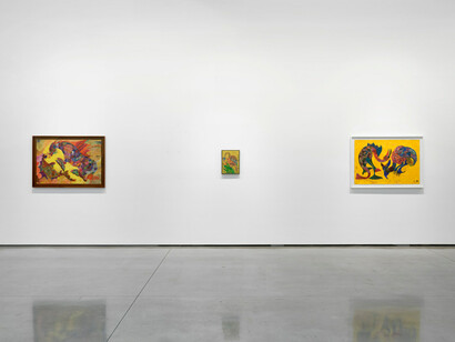 Chico da Silva, Amazônico, exhibition view. Courtesy of David Kordansky Gallery