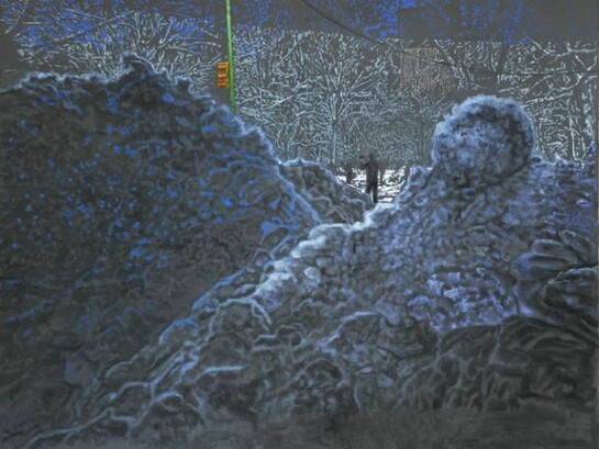 Ena Swansea, snow at night 2, 2014, oil on graphite on canvas, 90 x 114 inches, 228.6 x 289.6 cm. Courtesy of Friedman Benda and the artist. Photography by: Christopher Burke Studio.