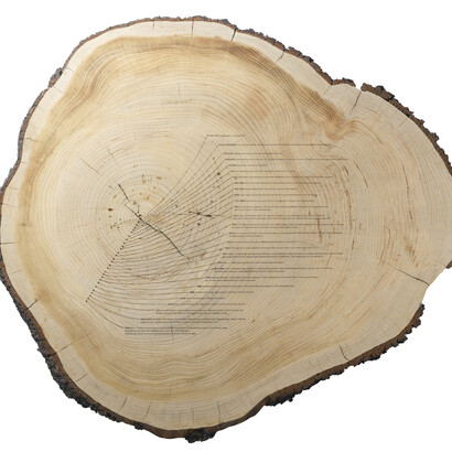 Tiffany Shlain, Dendrofemonology feminist history tree ring timeline, 2024. Courtesy of Department Pr Gallery