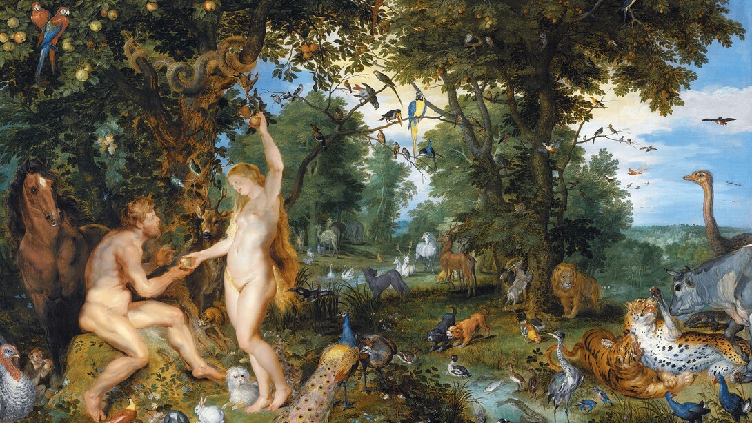 Peter Paul Rubens e Jan Brueghel il Vecchio, Peccato originale, 1615. Mauritshuis, L'Aia, Paesi Bassi