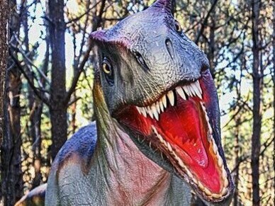 Dino Parque de Lourinhã. As rochas da Lourinhã remontam ao Jurássico Superior, mais especificamente a períodos que ocorreram há cerca de 157 a 145 milhões de anos. Foi nessa época que enormes saurópodes herbívoros e ferozes terópodes carnívoros habitaram esta região, então caracterizada por um clima subtropical, repleto de rios, planícies e vegetação luxuriante