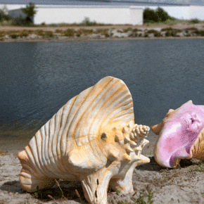 Dear Planet. Courtesy of Arken Museum of Modern Art