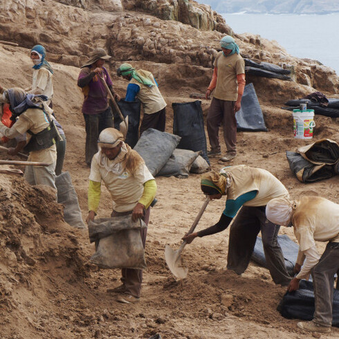 Dinh Q. Lê. The Colony. Courtesy of Museum Boijmans Van Beuningen 
