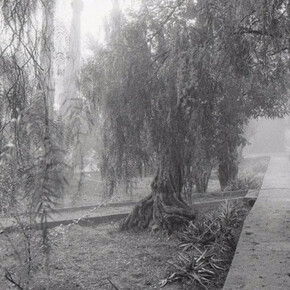 Christine Alaoui. Courtesy of Sulger-Buel Lovell