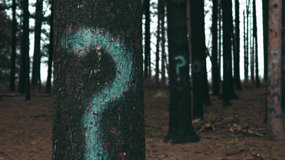 Forest trees marked with question mark