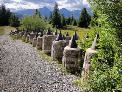 Pian dei Morti (Curon Venosta, Bolzano). I denti di drago oggi
