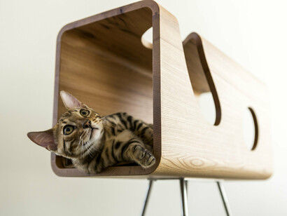 Animali Caber - CAT60 - Rovere. Ph Elia Falaschi
