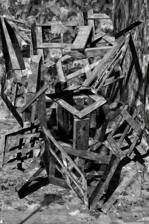 Nico Krijno. Courtesy of Elizabeth Houston Gallery