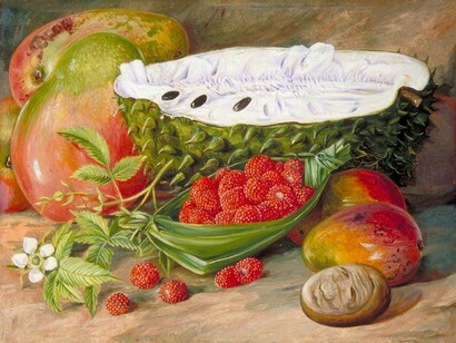 Marianne North, *Fruit Grown in the Seychelles*, 1883