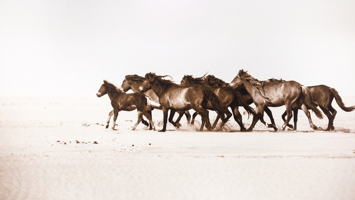 Roberto Dutesco, Western run (1/3), 2007. Courtesy of West Chelsea Contemporary 