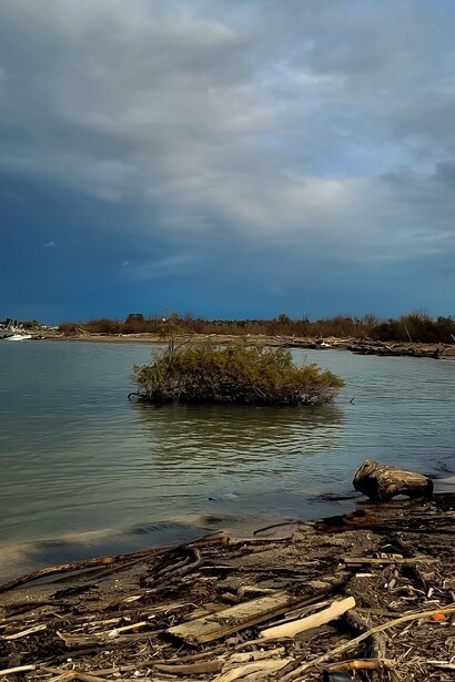 L'Oasi dei Variconi è anche una meta importante per il turismo sostenibile, attirando naturalisti, birdwatcher e fotografi che vogliono osservare la natura incontaminata. Riserva naturale Foce Volturno Costa di Licola. Oasi dei Variconi. Castel Volturno, Italia 

