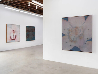 Heath Wae, Mineral meridian, exhibition view. Courtesy of Carvalho Park