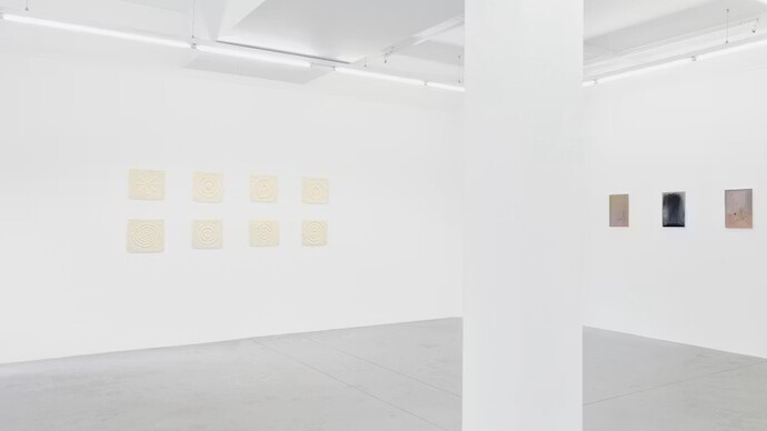 Sarah Pillen, From the field, exhibition view. Courtesy of Hopstreet Gallery