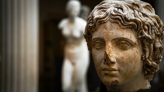 Social dementia provides no vision of enlightenment
