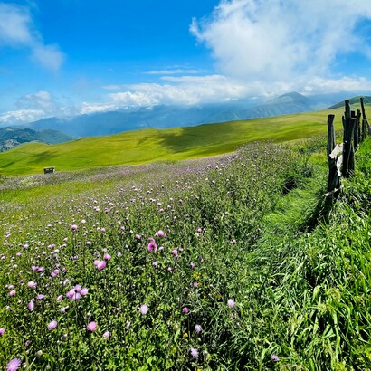 I ritmi naturali aiutano l’organismo a ritrovare equilibrio, sostenendo il sonno e la regolazione emotiva