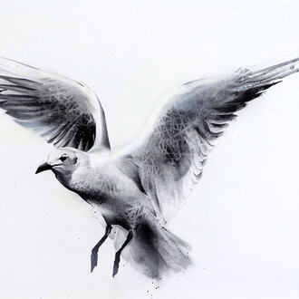 Li-Hill, Flight, (Gull – Laridae), Graphite and aerosol on paper, 30in x 22in (76 x 56cm)