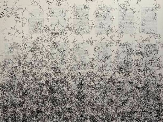 Tim Rollins and K.O.S. From the series: The Origin of Species after Darwin