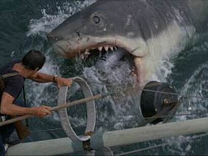 Moby Dick, Melville