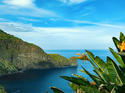Vista marítima. Dilan, heredero de la casona, anda preso por traficar con cocaína dentro de libros