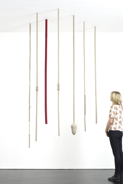 Tonico Lemos Auad, Seven Seahorses, 2013
