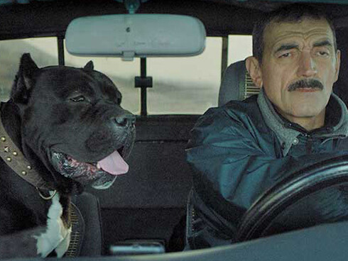 Vajiko Chachkhiani. Courtesy of Bundeskunsthalle