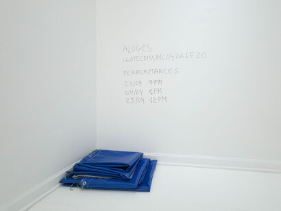 Laia Estruch, Aloges, exhibition view. Courtesy of Travesía Cuatro