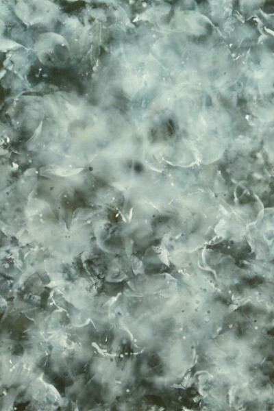 Betsy Eby. Courtesy of Cadogan Contemporary