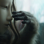 Animalesque. Courtesy of Bildmuseet